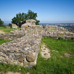 Ruiny zamku w Tarnowie