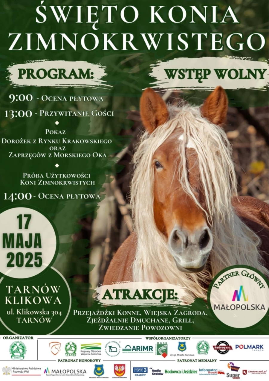 swieto konia zimnokrwistego