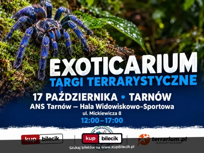 Exoticarium, czyli Targi Terrarystyczne plakat