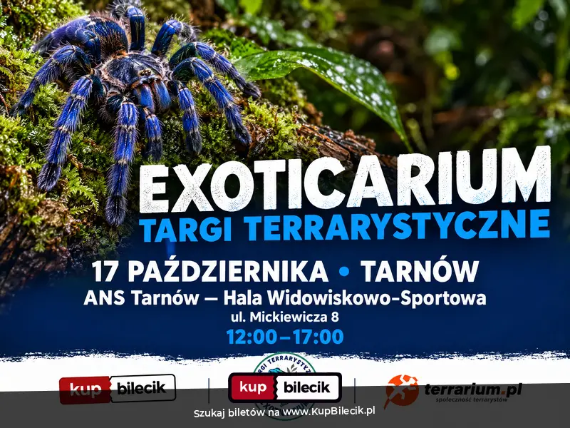 Exoticarium, czyli Targi Terrarystyczne plakat