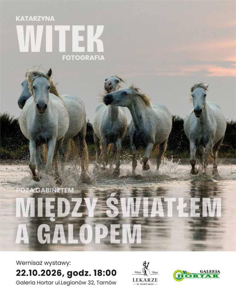 plakat wystawa Katarzyna Witek